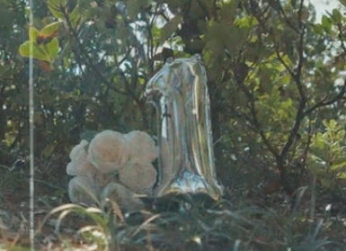 ファミリームービー